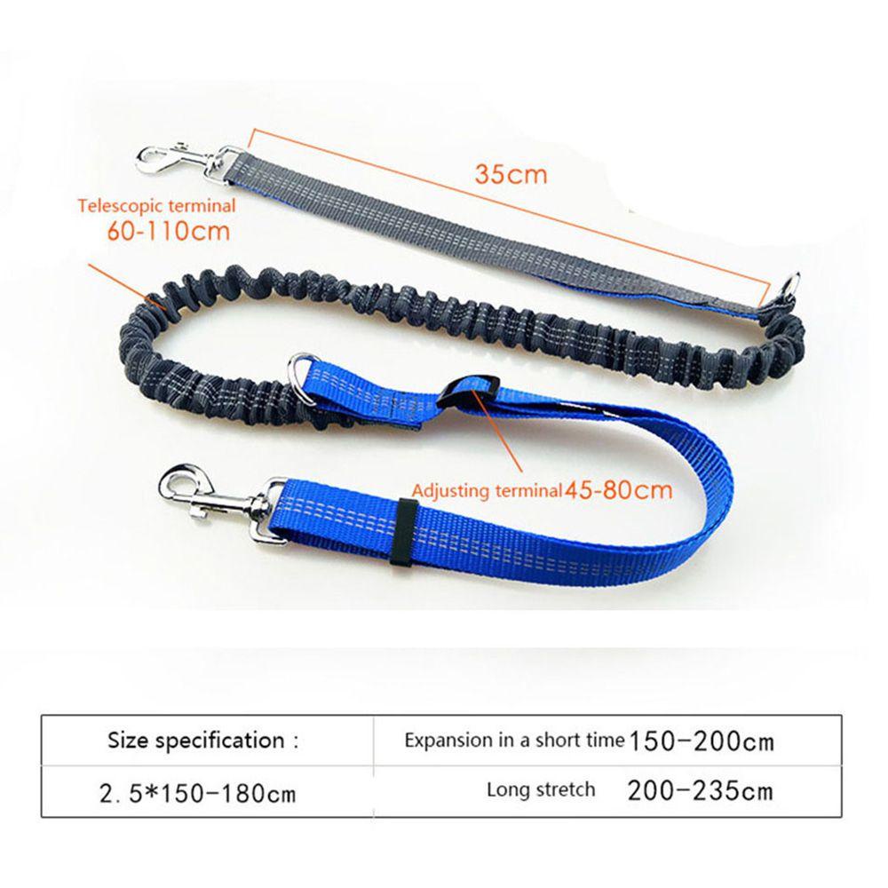 Bộ Dây Đai Dắt Chó Đi Dạo Ban Đêm An Toàn Tiện Lợi