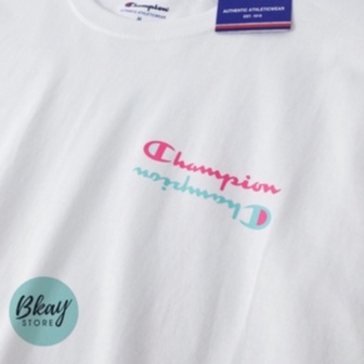 Áo thun Champion Retro Colorblock- 100% Authentic