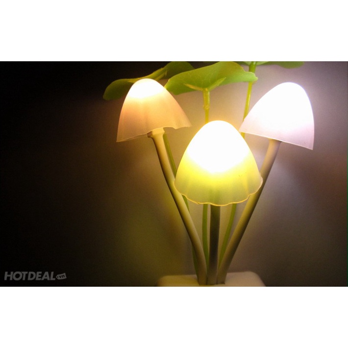 Đèn Ngủ Cảm Ứng Hình Nấm Tự Đổi Màu #262