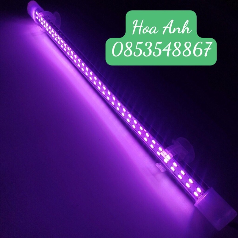 Đèn Led KAOKUI 2 Hàng Bóng, Hồ 60cm/80cm/100cm/120 (Nowship) Chuyên Dụng Cho Cá Rồng