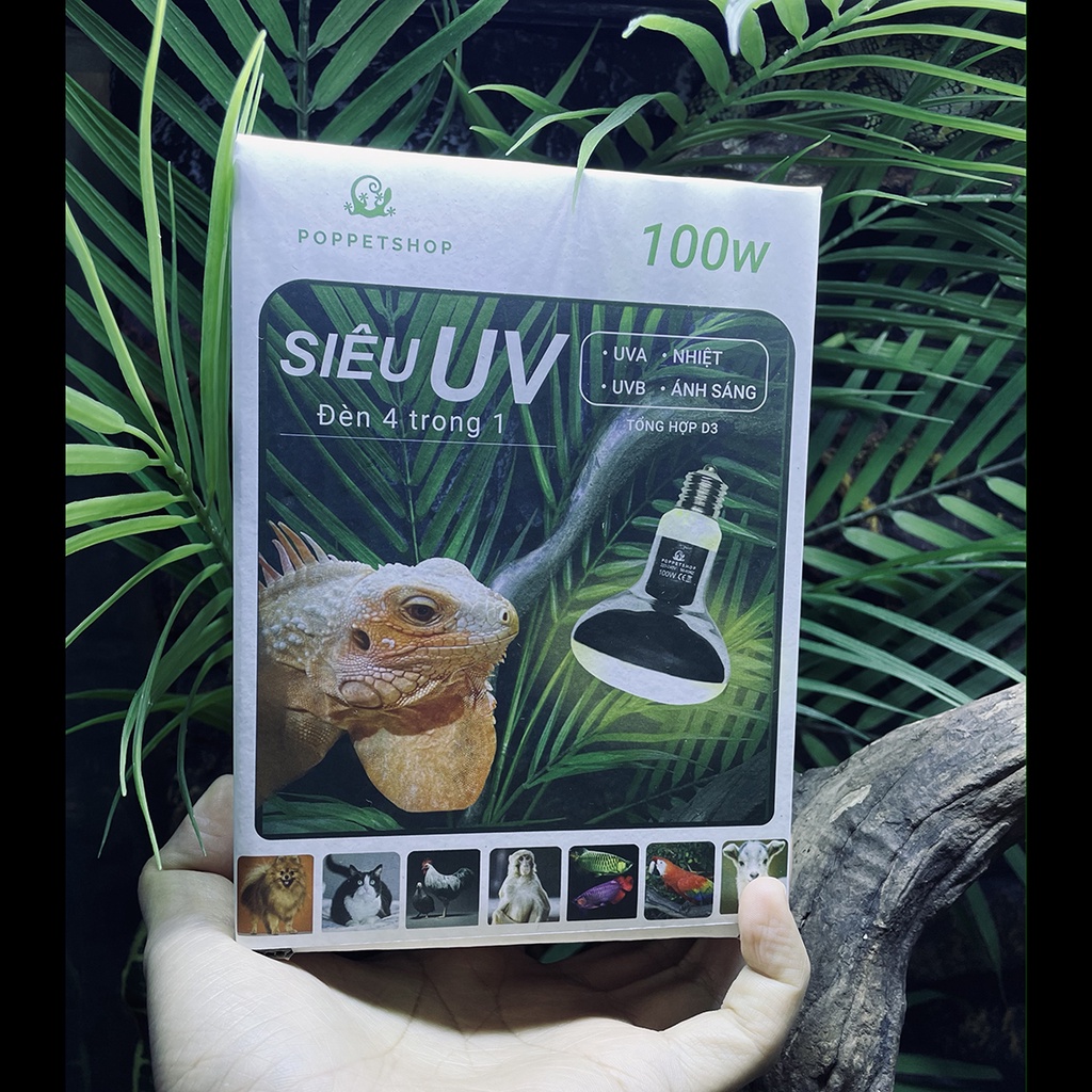 Đèn Mặt Trời Bò Sát - Siêu UV - Rẻ - Tiết Kiệm - Lượng UV cao - Công Suất 100w - Đèn Rùa cạn,rồng Nam mỹ,rồng úc,kỳ đà