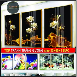 Tranh decor treo trường tráng gương Tường An, tranh trang trí phong cách hiện đại, Khung composite cao cấp