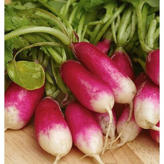  Hạt Giống Củ Cải Đỏ Dài - Gói 2 Gram