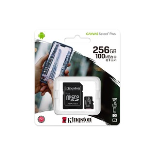 Thẻ nhớ Micro SD Kingston 256Gb Class 10 100MB/s