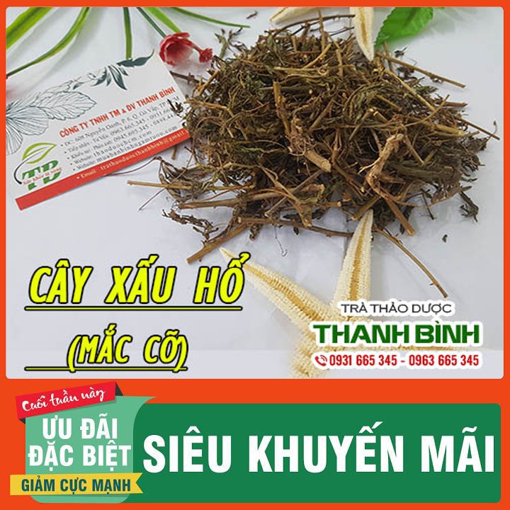 Cây Xấu Hổ (Mắc Cỡ) Khô 500g - Hàng Loại 1 - Dược Liệu Thanh Bình