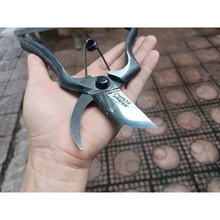Kéo cắt cành Onoyoshi 200A