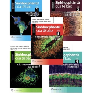 Sách - (Trọn Bộ 5 Quyển) Sinh Học Phân Tử Của Tế Bào