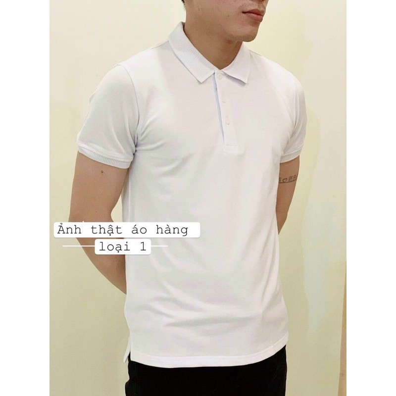 [Mã SKAMA06 giảm 8% tối đa 50K đơn 250K] Áo PO-LO nam 5 màu(hàng xuất) | BigBuy360 - bigbuy360.vn