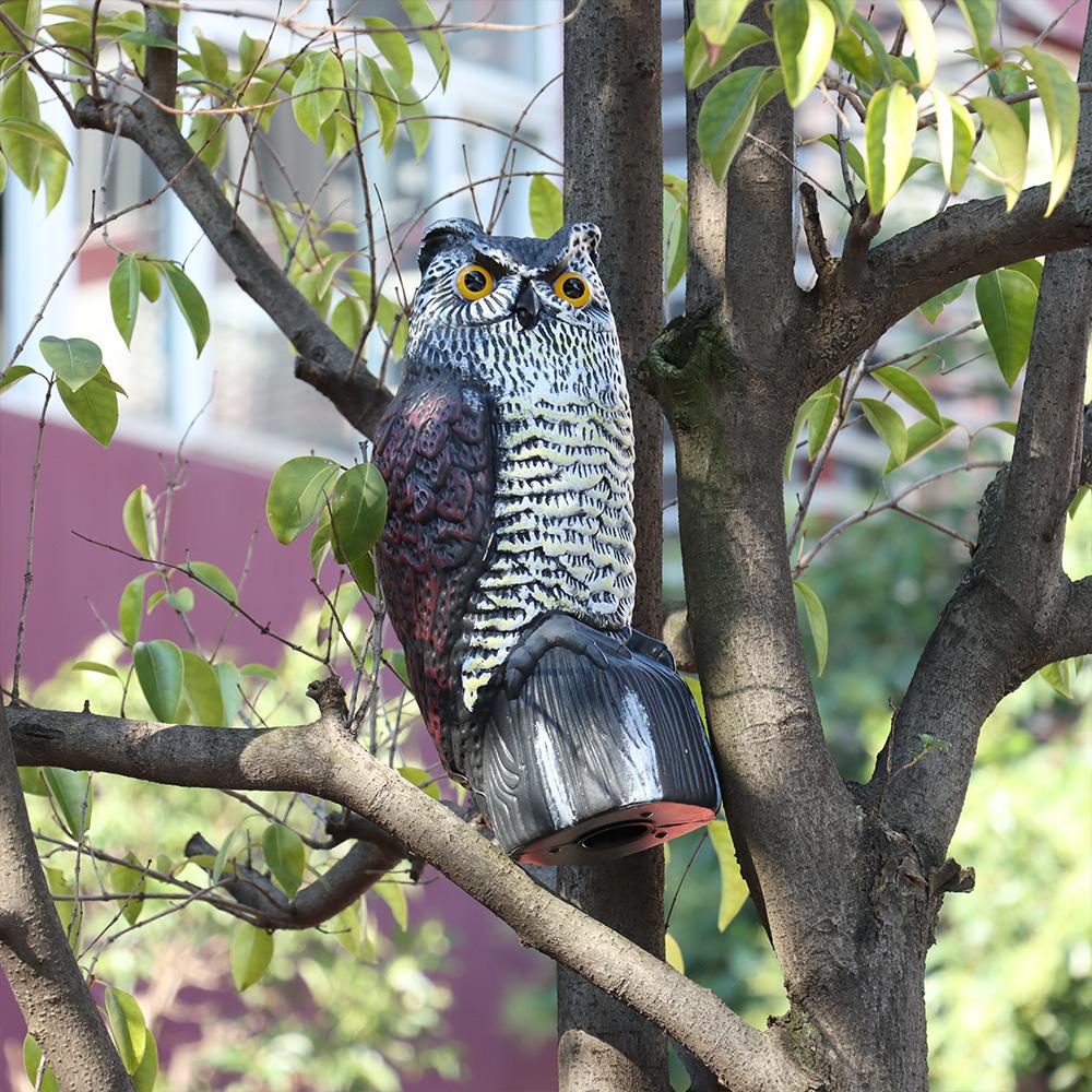 Cú Mèo Giải Trí Sống Động Như Thật Đuổi Chim Kiểm Soát Côn Trùng