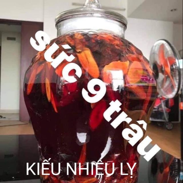 KIẾU NHIÊU LỴ 9 SỨC TRÂU 1KG chuẩn rừng