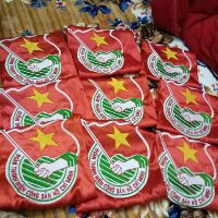 Cờ đoàn,  đội thêu bé