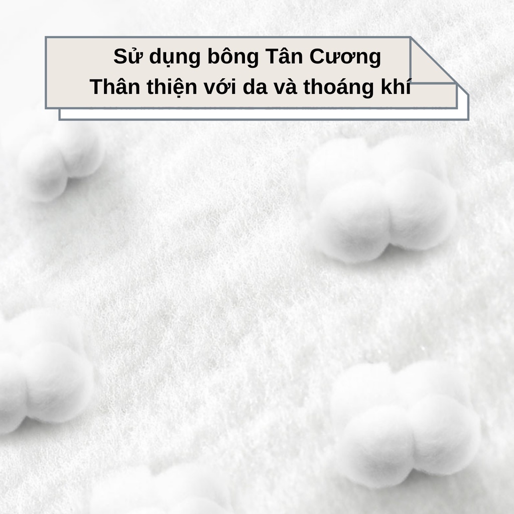 Hipidog Bỉm quần chó chó đực 10 miếng/gói