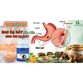 Dạ Dày HỒNG TÂM