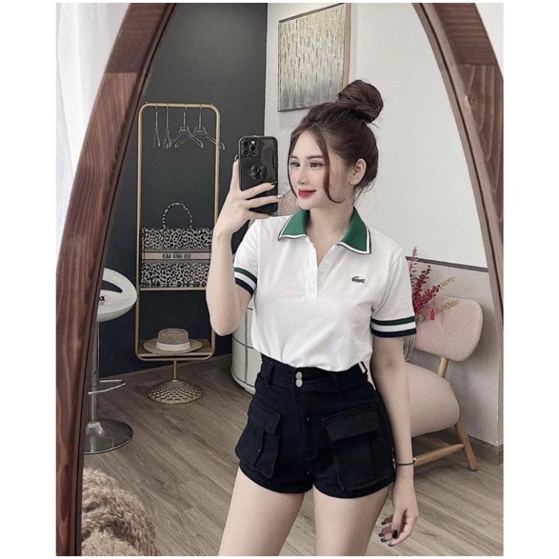 Áo polo cá sấu cổ bẻ viền xanh trắng hot