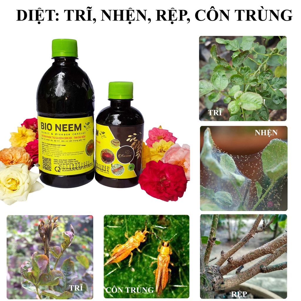Tinh dầu neem oil hữu cơ Rosava bảo vệ cây trồng phòng ngừa côn trùng, bọ trĩ, nhện, rệp, bọ cánh cứng