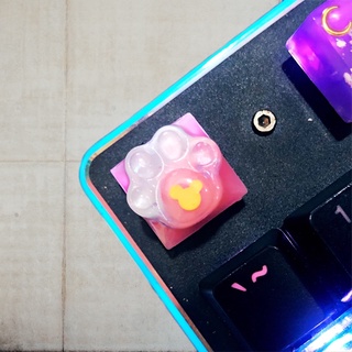 [ ORDER ] RESIN KEYCAP HÌNH CHÂN MÈO