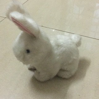Thỏ bông c hương