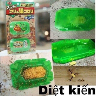 Thuốc diệt kiến (Nhật)