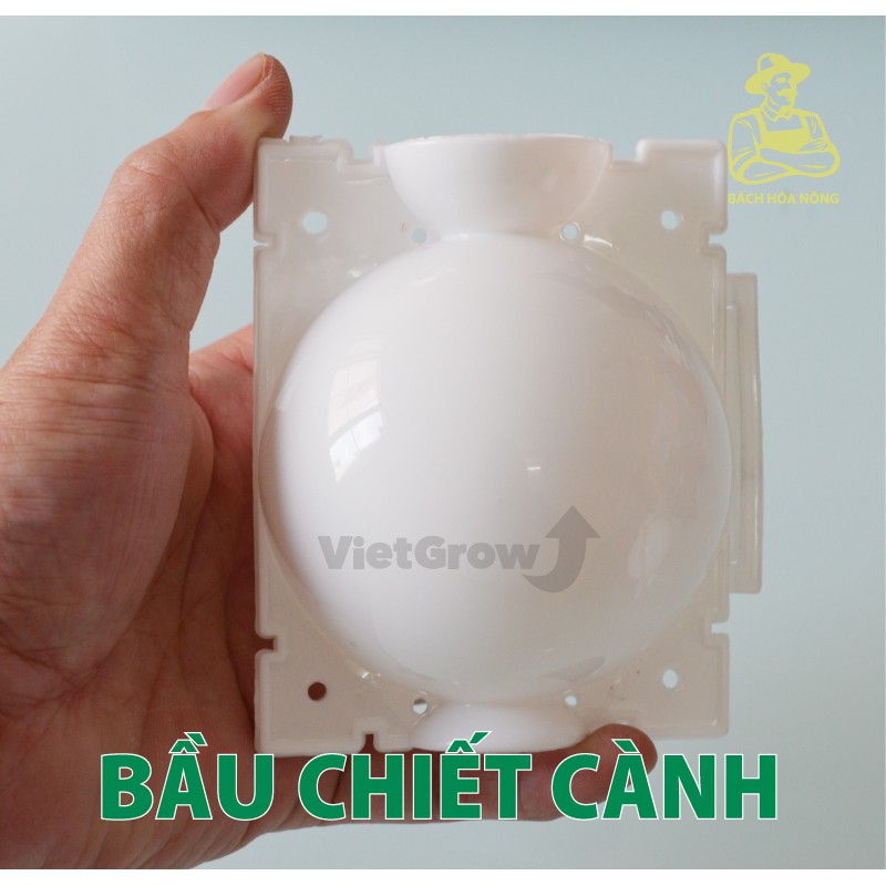 Combo 3 Bầu chiết cành Croco - Ghép Giống Rễ Cây Nhân Giống Có Thể Tái Sử Dụng Bằng Nhựa Màu Trắng