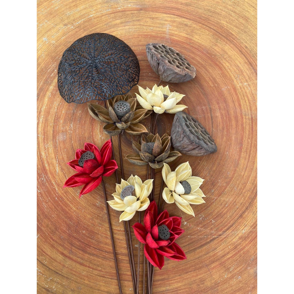 Hoa sen gỗ khô - Đài sen - Lá sen dâng cúng dường phật trang trí decor nhà - hoa lẻ