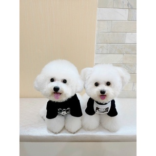 Hạt Jialun cho poodle