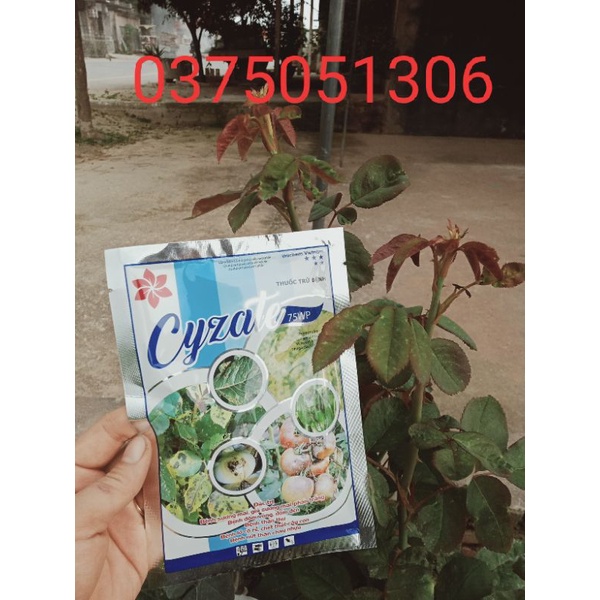 VUA TRỪ BỆNH( sương mai,giả sương mai,phấn trắng,đốm đen lá,thán hư,lở cổ rễvv..)