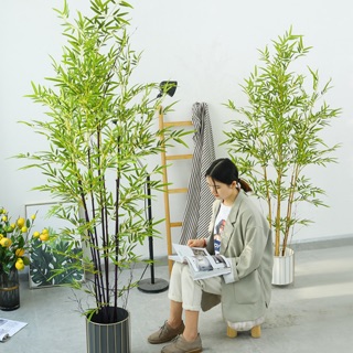 [Hàng Loại 1] [Freeship Tối Đa 70k]Cây Trúc Quân Tử Giả Trang Trí Nhà Cửa