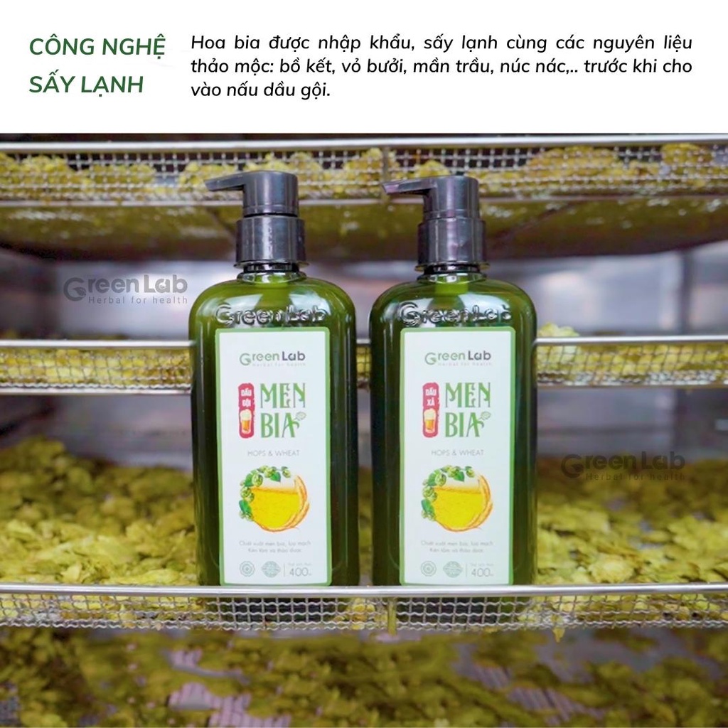 Bộ sản phẩm chăm sóc tóc cao cấp Men Bia GreenLab + Dầu gội 400ml + Dầu xả 400ml + Xịt tóc 50ml