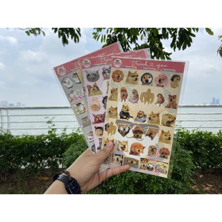 BÌA STICKER MEME CHÓ SHIBA 31 MIẾNG