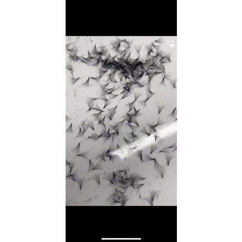 Mi fan 8D hộp 1000 fan - Phan Dũng