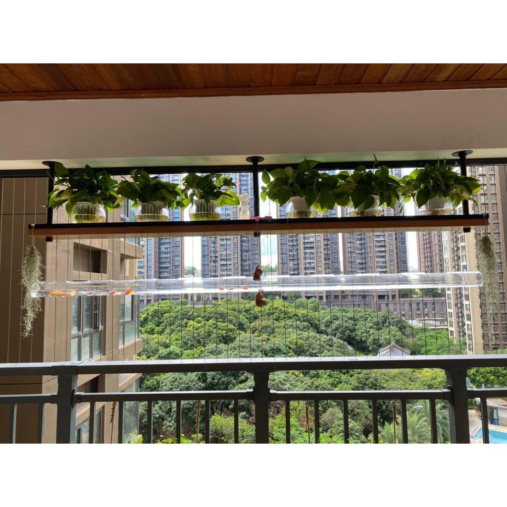 Bể tép cá acrylic hình dạng ống tròn dài 50cm