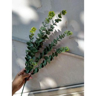 hoa giả - cành lá táo dài