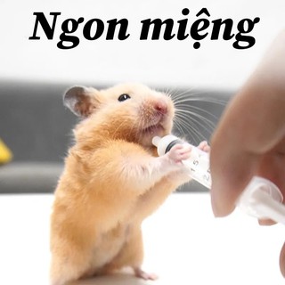 Hamster sữa dê bột ngũ cốc dinh dưỡng