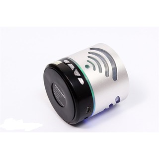Loa Bluetooth Powermax TS02
