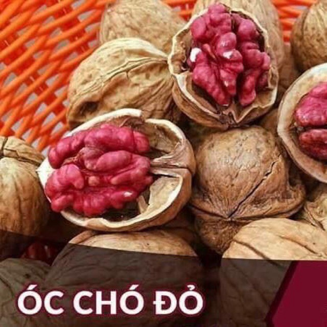 [ĐẶC BIỆT] 1KG Quả óc chó nhân đỏ Mỹ thơm ngon, giá trị dinh dưỡng tăng thêm 30%