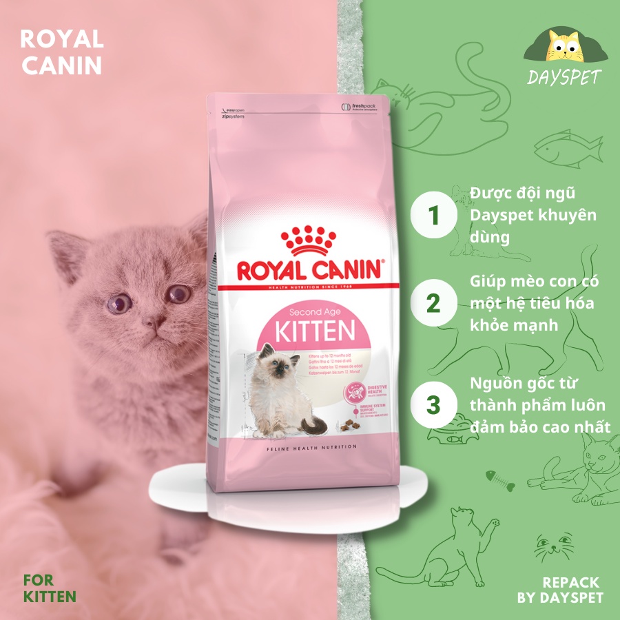 Thức ăn hạt cho mèo con Royal canin kitten cho mèo từ 2 tháng tuổi trở lên Dayspet