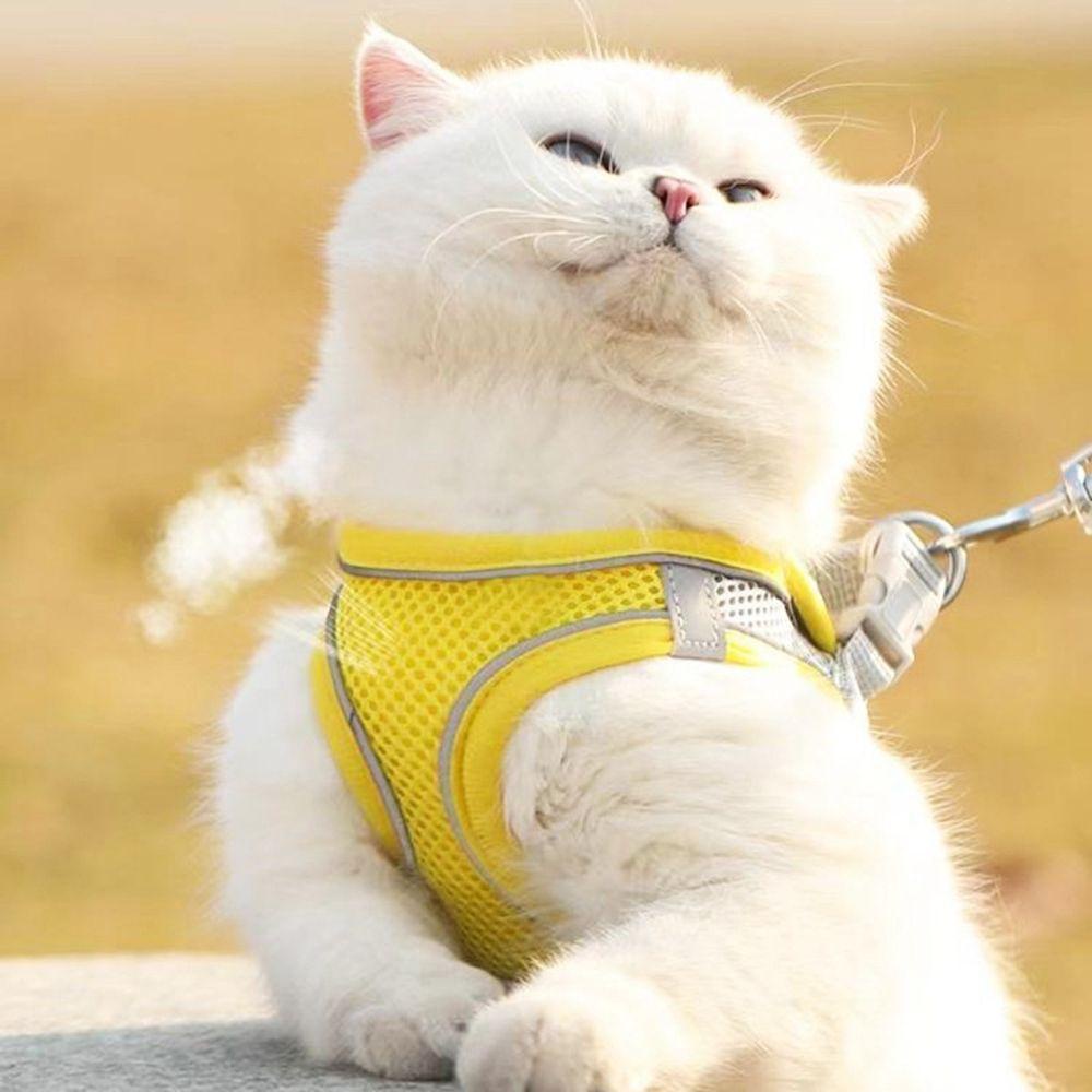 Đai Dắt Thú Cưng Đi Dạo Mềm Mại Thoáng Khí Kèm Dây Kéo Tiện Dụng