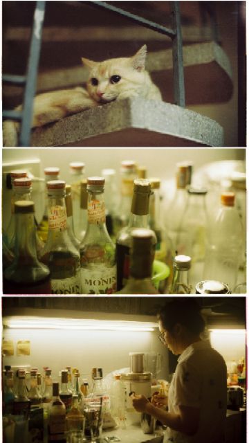 Film Cine Điện Ảnh Kodak Vision 3 50D