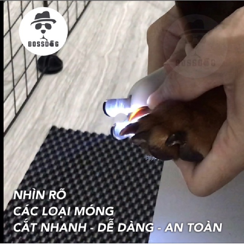 Kìm cắt móng thú cưng có đèn LED