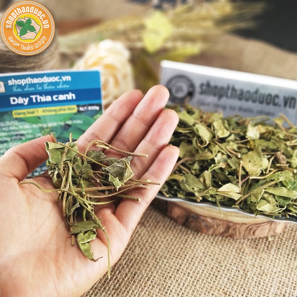 Dây Thìa Canh sạch Gói 500G - Dây Thìa Canh Shop Thảo Dược - Hỗ Trợ Ngăn Ngừa Bệnh Béo Phì, Ổn Định Đường Huyết