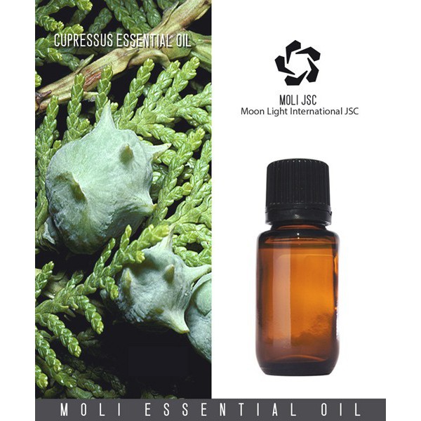 Tinh dầu gỗ ngọc am - hoàng đàn rủ 10ml( giá siêu rẻ )