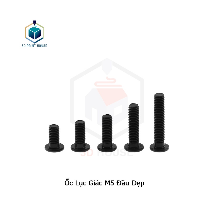 Ốc Lục Giác Đầu Dẹp M5