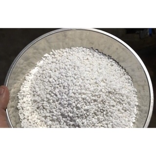 Đá perlite trồng sen ( Đá trân châu) giúp cây thoát nước tốt