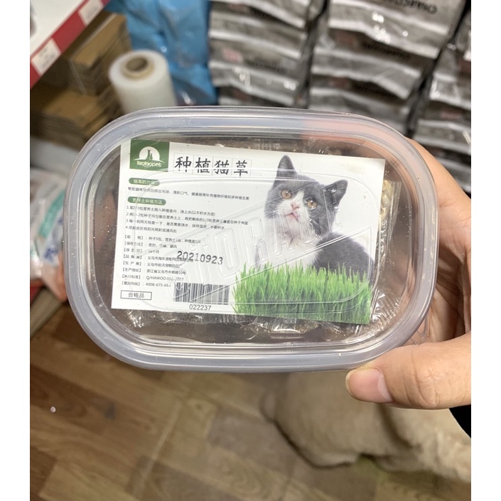 Hộp cỏ mì Hahale cho mèo