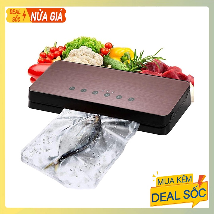 Máy hút chân không đóng gói bảo quản thực phẩm