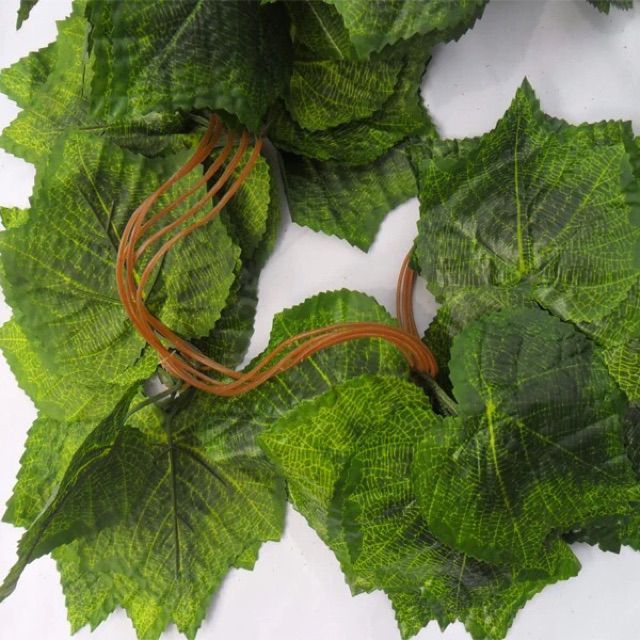 Dây leo lá nho xịn  bó 5 dây dài 2m7-Lá giả