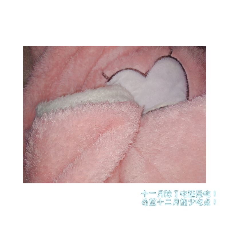 Hoddie ( hàng không có sẵn)