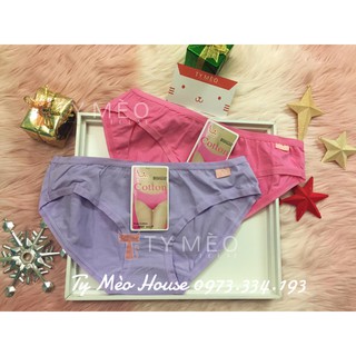 🐰Quần chíp xinh Cotton🐰
