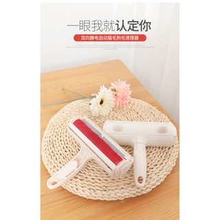 cây lấy lông mèo-cây lăn lông mèo