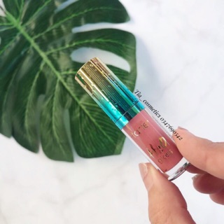 Son Tarte - Rainforest of the seal H2O gloss lip gloss màu Hang ten (minisize)